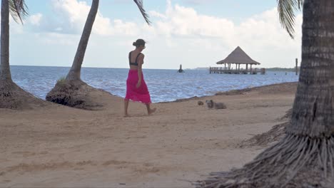 latin brunette woman in a bikini and a pink beach wrap playing with her grey schnauzer dog at the beach with the sea in the back