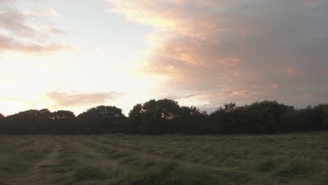 Summer-sunset-in-field-with-soft-clouds