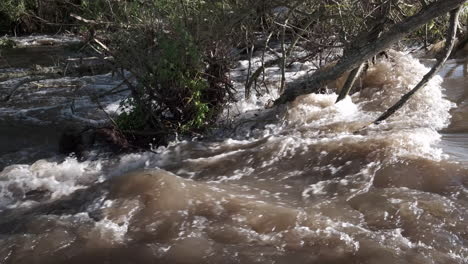 el agua que fluye rápidamente de la flecha del río que atraviesa warwickshire, inglaterra, después de que las fuertes lluvias elevaron el nivel del río