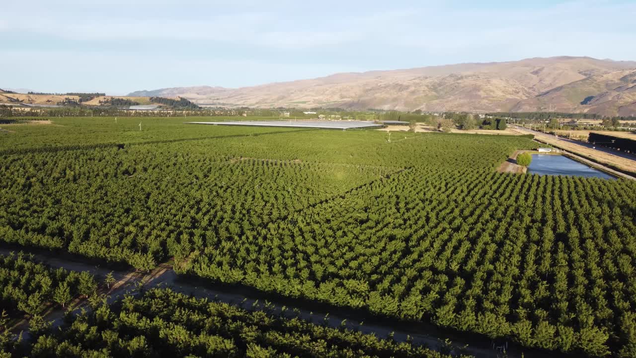vistas de drones de los huertos de cerezos en cromwell, otago, nueva zelanda