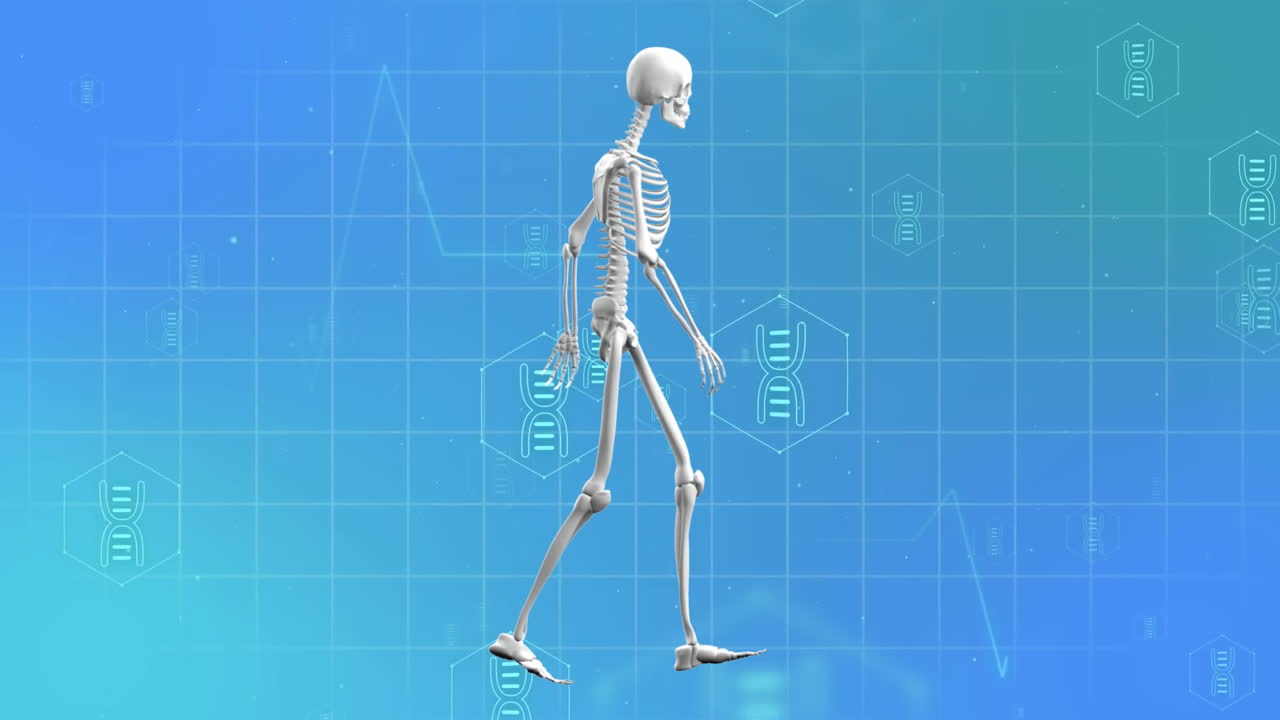 푸른 바탕에 걸어가는 의료 아이콘과 골격의 애니메이션