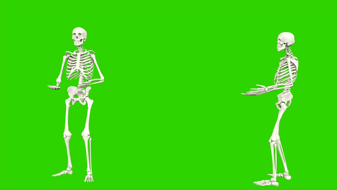 skeleton che parla. animazione a loop senza soluzione di continuità sullo schermo verde.
