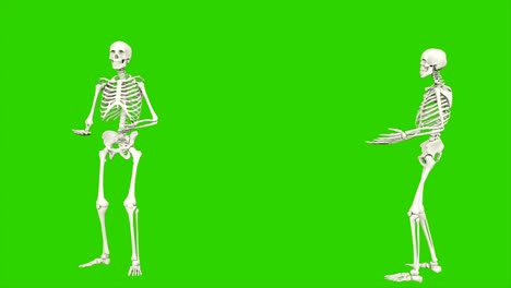esqueleto hablando. animación de bucle sin costuras en pantalla verde.