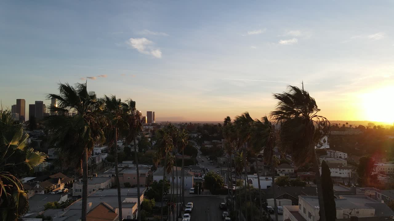 Viale di palme con vista sullo skyline del centro di Los Angeles