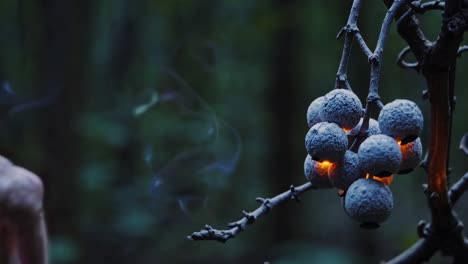 hand holding burning fruit in the forest at night