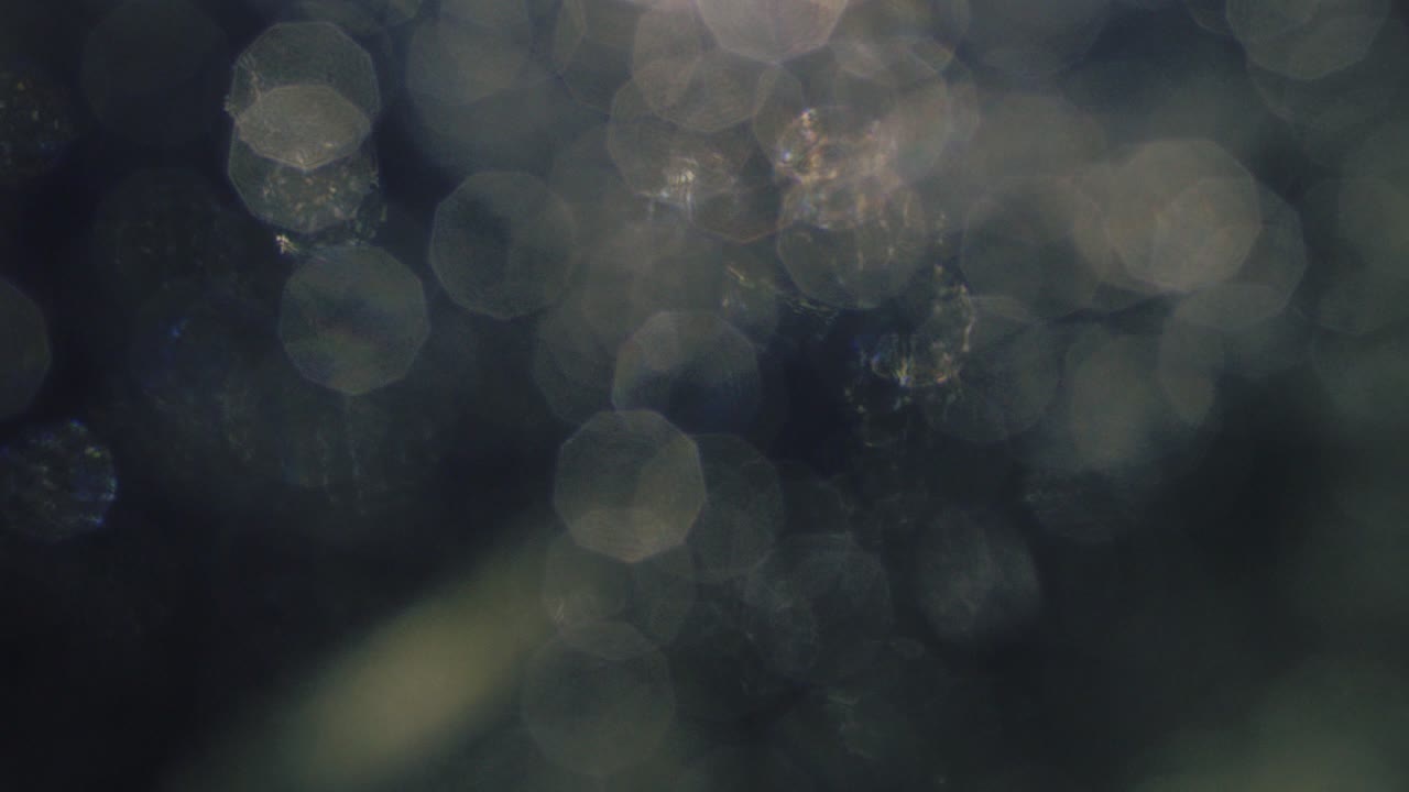 Abstract Shimmering Bokeh Lights on Dark Background