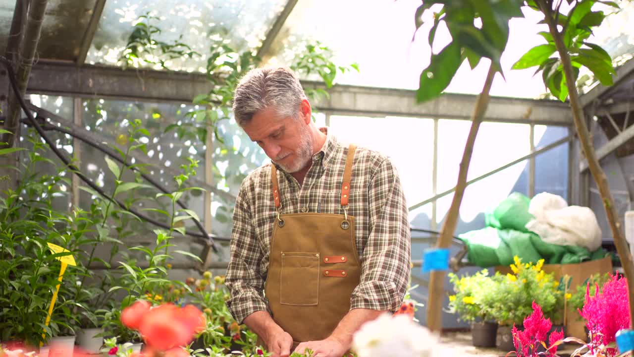 Gardener in a Greenhouse Surrounded by Plants and Flowers