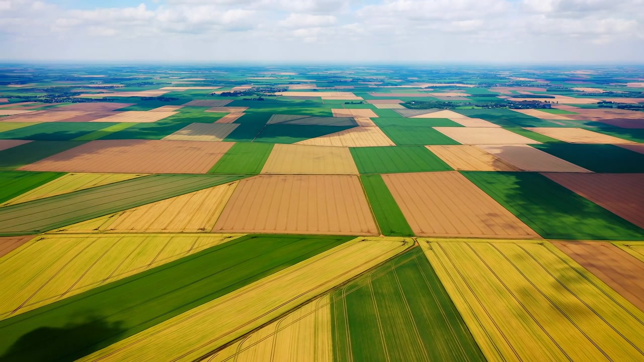 Ampia vista dall'alto di vaste terre agricole divise in appezzamenti geometrici, che si estendono fino all'orizzonte sotto un cielo nuvoloso in piena luce naturale del giorno