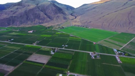 Toma-De-Drone-Inclinándose-Hacia-Arriba-Comenzando-La-Toma-Mirando-Los-árboles-Y-Plantas-Cultivadas-Por-Los-Agricultores-Locales,-La-Toma-Se-Eleva-Para-Revelar-Las-Montañas-Rocosas-En-La-Parte-Posterior.