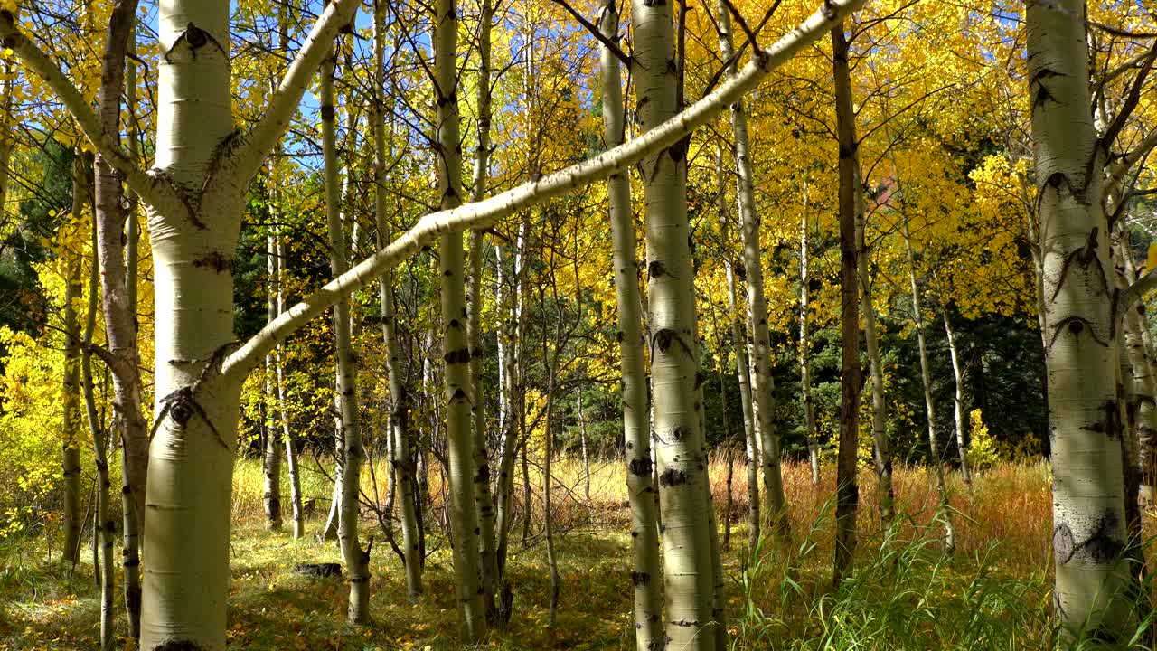 rv viajando en las montañas rocosas durante la temporada de otoño