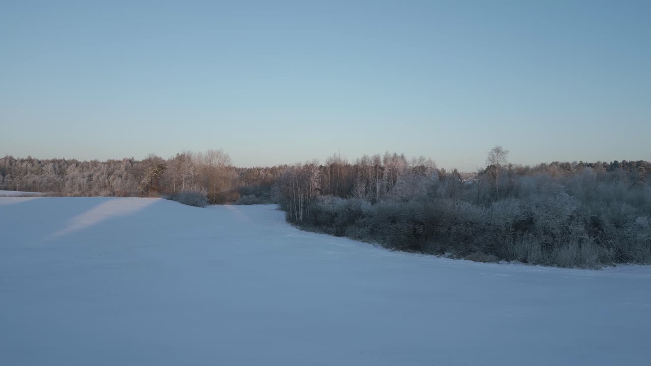 복사 공간이 있는 오른쪽에서 왼쪽으로 드론 샷에 눈 덮인 풍경과 나무