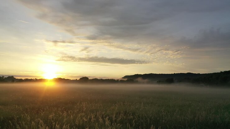 el amanecer brumoso sobre un campo