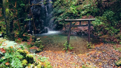 Waterfall-in-a-Forest-with-Rocks-and-Plants-in-Gifu-Japan