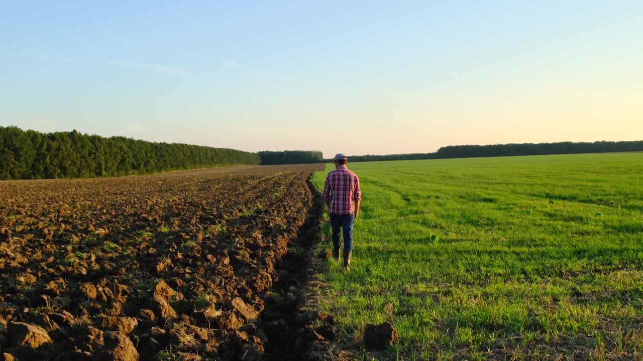 vista trasera de un granjero mayor de pie en el campo de soja examinando el cultivo al atardecer