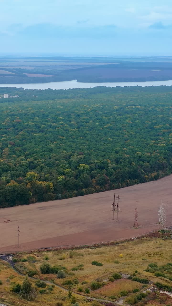 Aerial view huge green forrest fields. Summer natural beatiful green trees. Vertical video