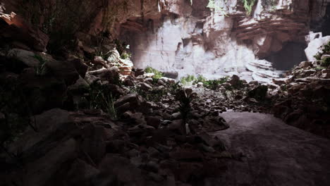 la vista dentro de la cueva de hadas con plantas