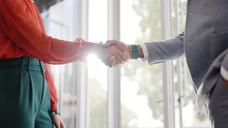 closeup, handshake and businessman with woman