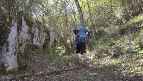 hombre caminando a través del denso follaje