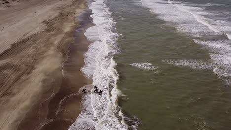 Vista-Aérea-De-Drones-De-Los-Cuatro-Caballos-En-La-Arena-De-La-Playa-En-Una-Tarde-Templada-En-Mar-De-Las-Pampas,-Argentina