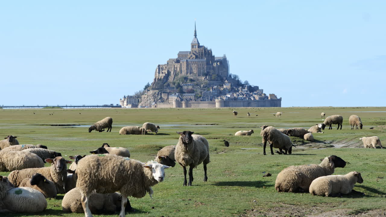 un pintoresco paisaje se desarrolla alrededor del monte saint-michel