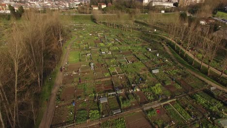 community garden in the city aerial view