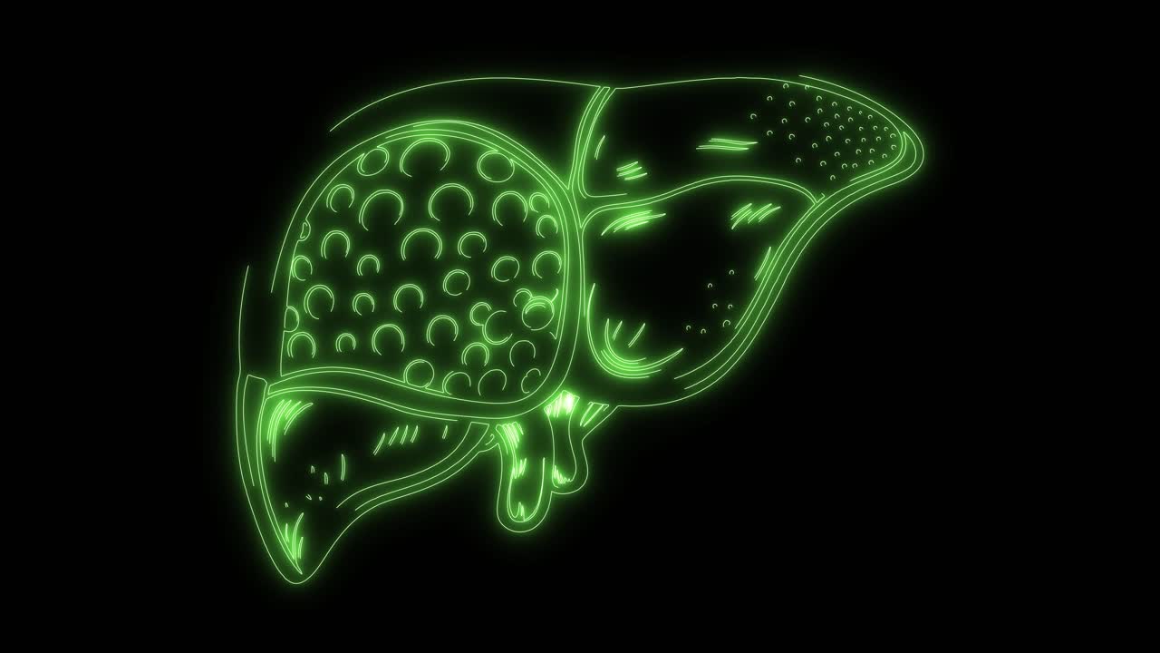 Animated Neon Green Outline of Human Liver