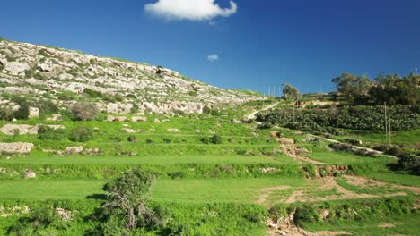 AERIAL:-Greenery-Grows-on-Slopes-near-Magrr-Ix-Xini-bay-on-Sunny-Day-in-Winter-in-Malta