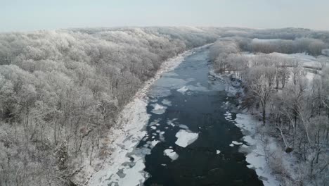 quick flying over icy winter river surrounded by white treetops forest