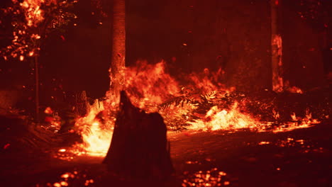 grandes llamas de incendio forestal