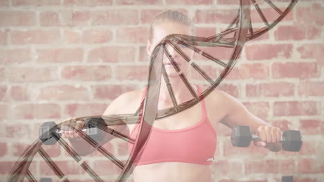 dna structure spinning against caucasian woman fit woman working out with dumbbells at the gym