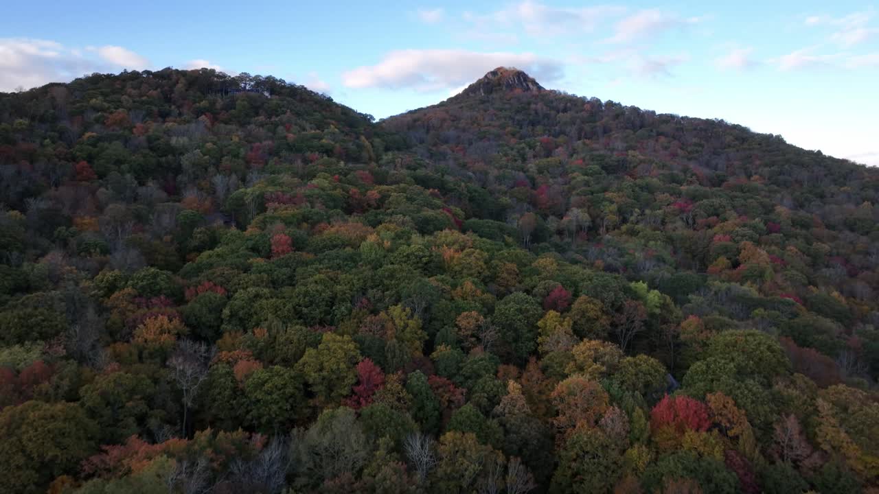 осенние листья недалеко от баннер-элка, северная каролина.