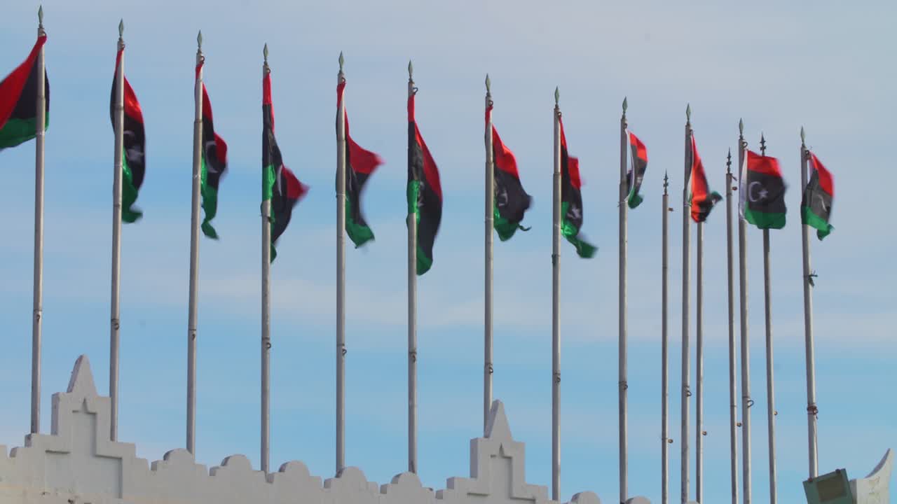 리비아 발이 하늘을 향해 바람에 흔들리고 있다.