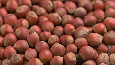 looped spinning hazelnuts with the shell close-up full frame background