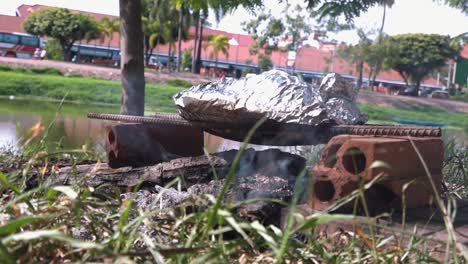 pescado cocinado en papel de aluminio al lado del río