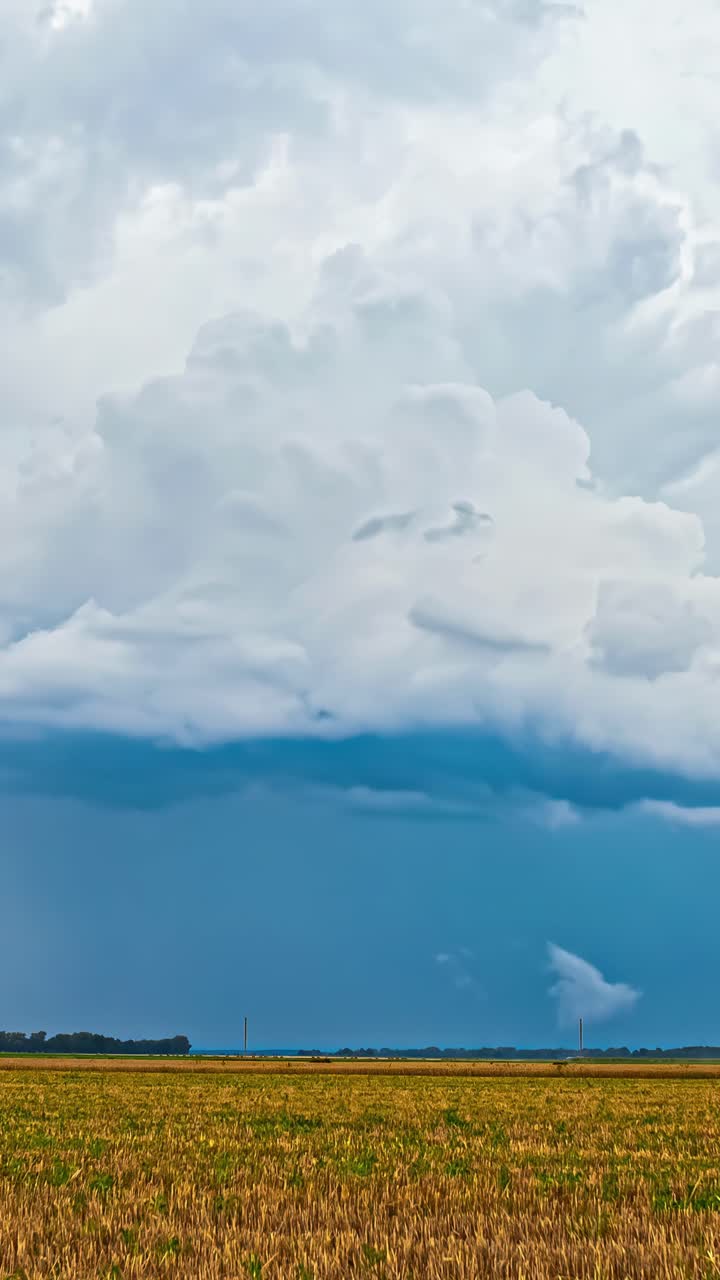 Green meadow farm field with cloudy sky above distant forest horizon, tranquil rural landscape, vertical