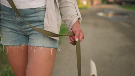 close-up of individual wearing denim shorts holding dog leash while walking along dirt road in rural setting, with visible hand veins and blurred greenery in background, dog tail partially visible