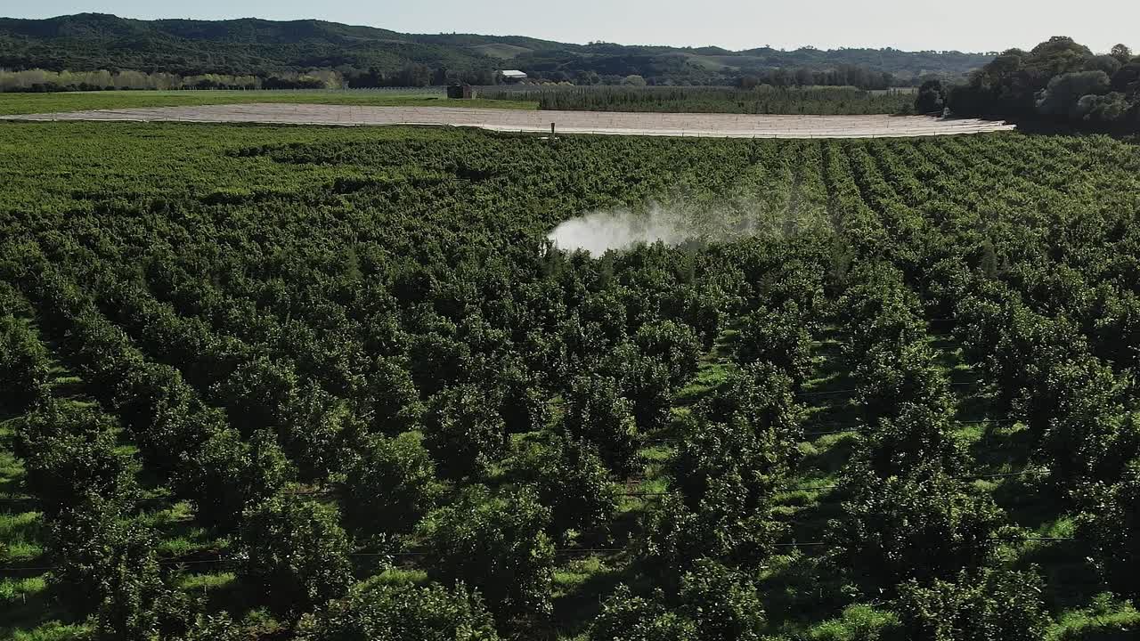 Attività agricola in Corsica durante una giornata di sole nei campi