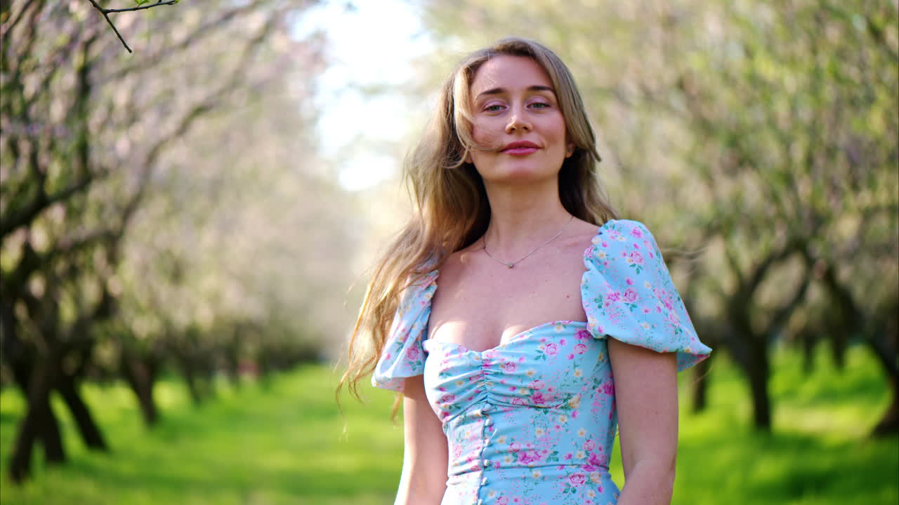Brunette woman in a blue dress spinning in a field of blooming almond trees