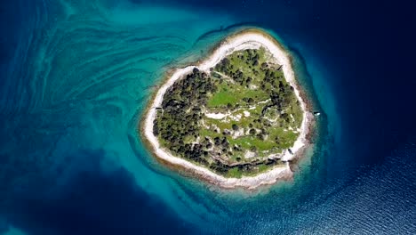 top aerial view of seagulls flying over small desert island in brijuni islands, istria, croatia.