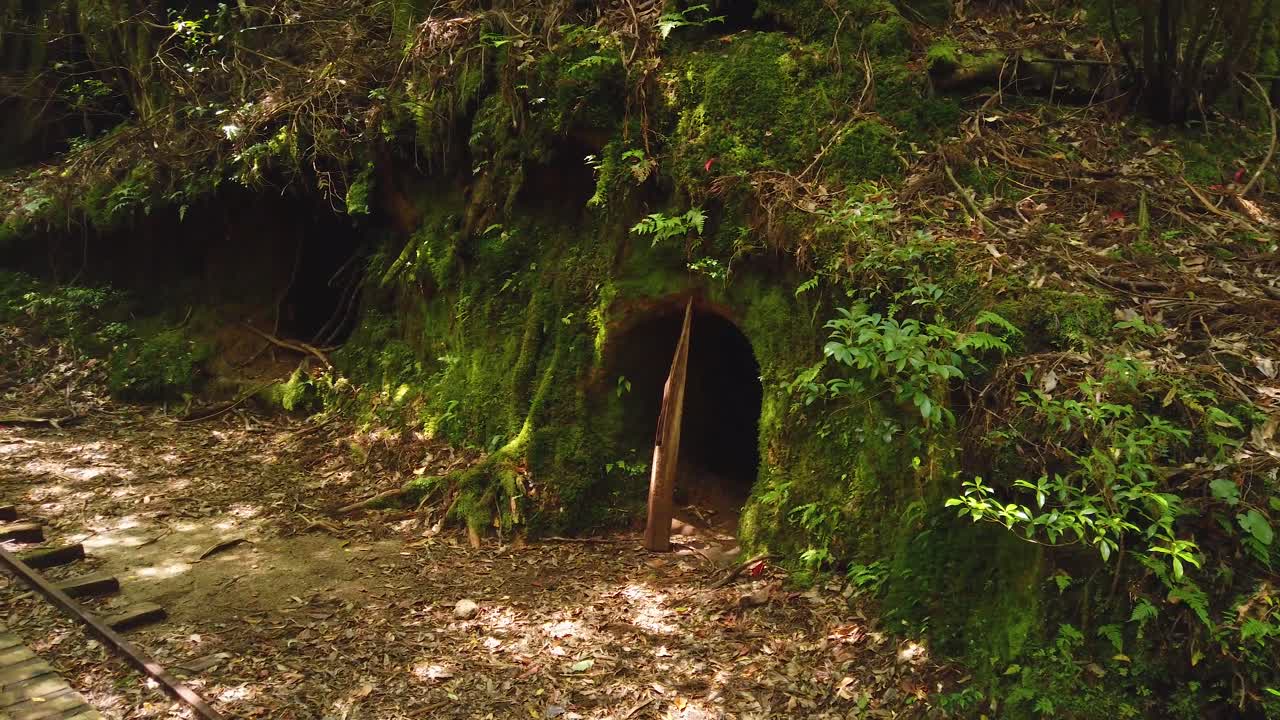 Mossy Hobbit Hole in the Mononoke Forest, Yakushima Japan