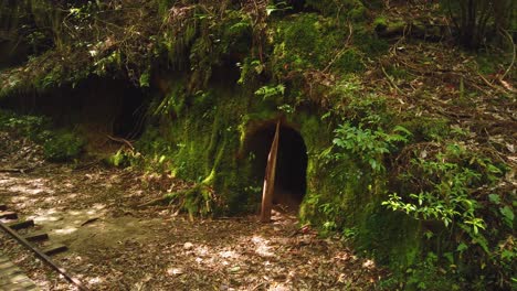 Agujero-De-Hobbit-Cubierto-De-Musgo-En-El-Bosque-Mononoke,-Yakushima-Japón