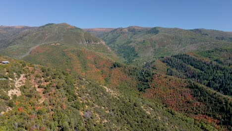 Vista-Aérea-Panorámica-De-Los-árboles-De-Otoño-En-El-Bosque-De-Montaña-En-Utah-Bajo-La-Cálida-Luz-Del-Sol