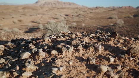 desert rocks sit in the sunrise as the mountains come into view against a clear sky