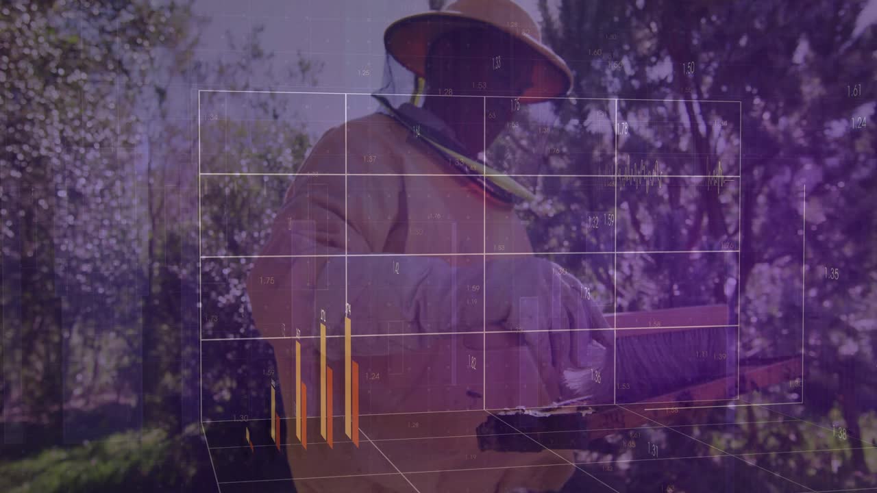 Senior beekeeper monitoring hive health while removing frame, 3D farm grid showing animated bars