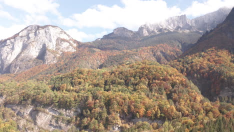 tilt up of beautiful forest in autumn on mountain ridge