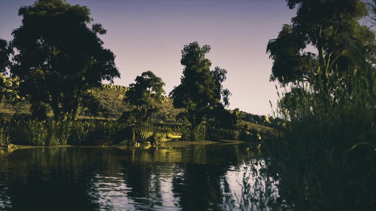 Sagome crepuscolari di alberi lungo le rive tranquille del fiume al tramonto