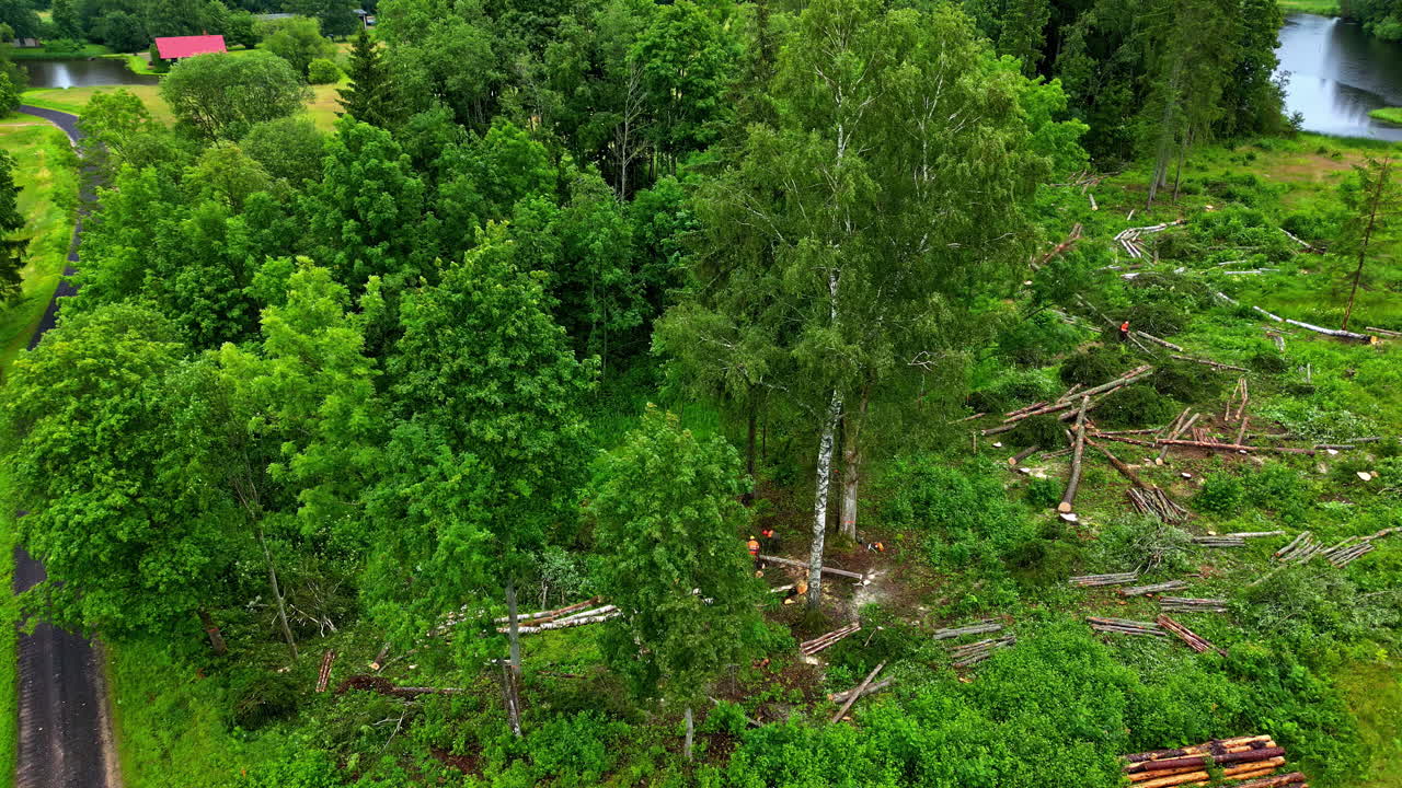 푸른 풍경에서 숲을 는 과정, 공중 도 뷰
