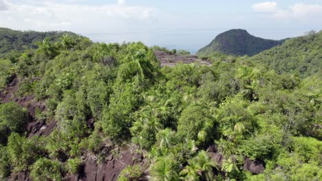 drone shot passing over mountain cliff inside the dense forest on mahe island