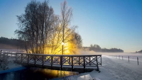 los rayos de sol filtrados a través de las ramas de los árboles cubiertos de nieve