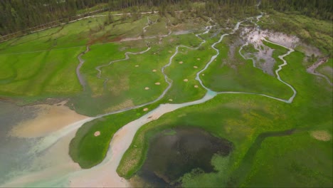 amplia hierba verde en toblacher ver cerca del lago dobbiaco, tirol del sur, italia